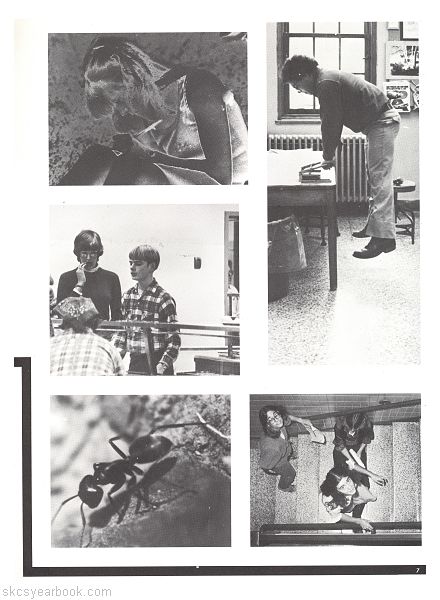 SKCS Yearbook 1981•6 South Kortright Central School Almedian